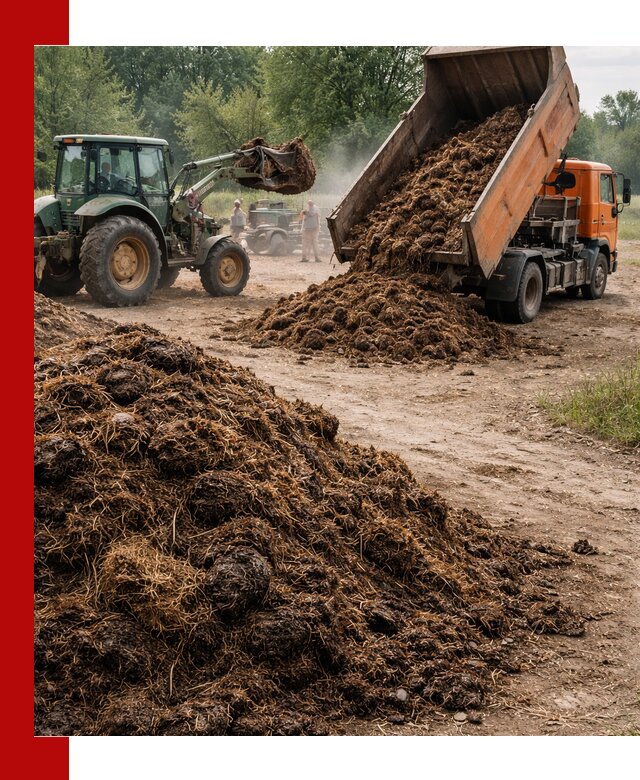 Доставка навоза самосвалами в Торжке для сельхозпотребностей