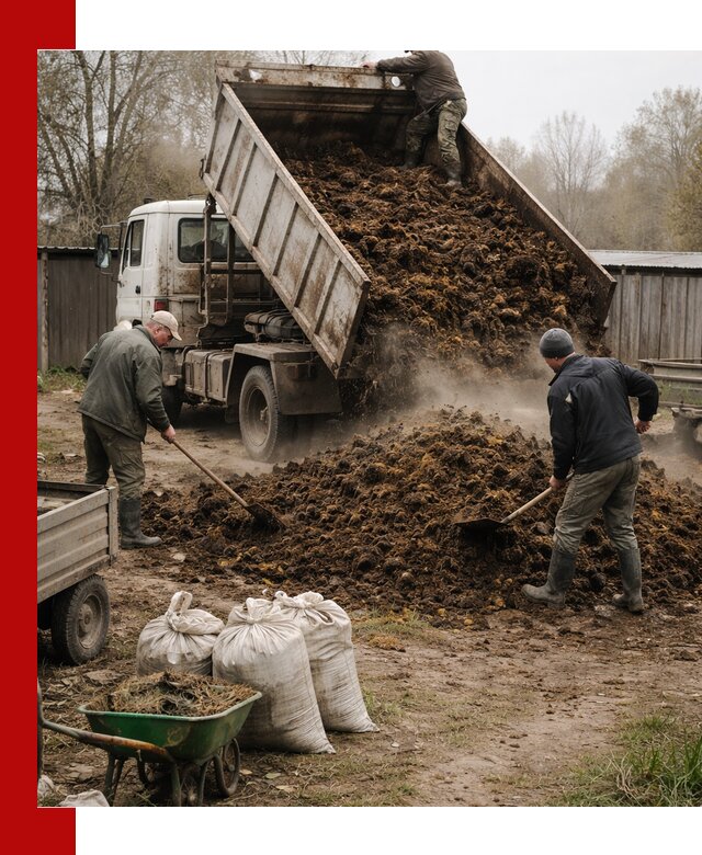 Доставка коровьего навоза самосвалом в Торжке